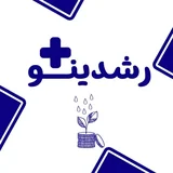 رشدینو پلاس